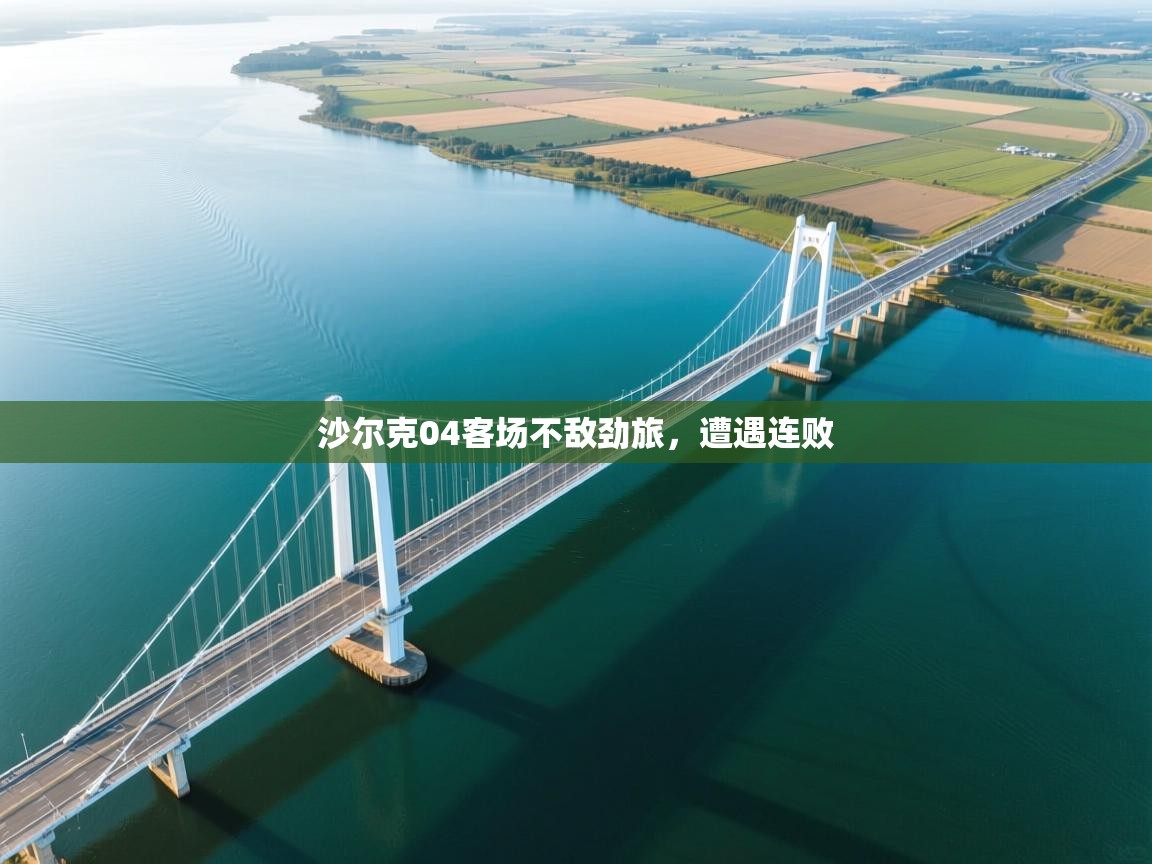 沙尔克04客场不敌劲旅，遭遇连败  第2张