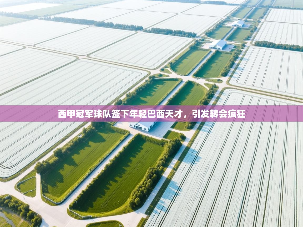 西甲冠军球队签下年轻巴西天才，引发转会疯狂  第1张