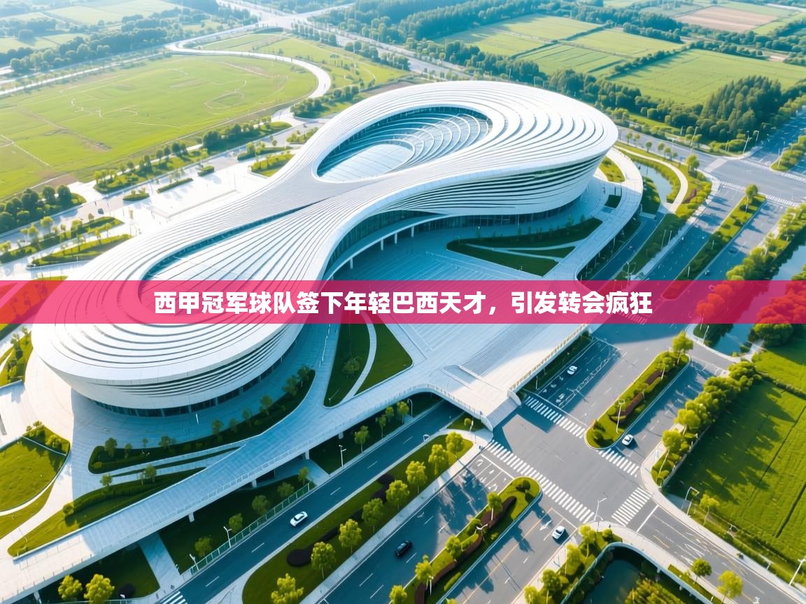 西甲冠军球队签下年轻巴西天才，引发转会疯狂  第2张