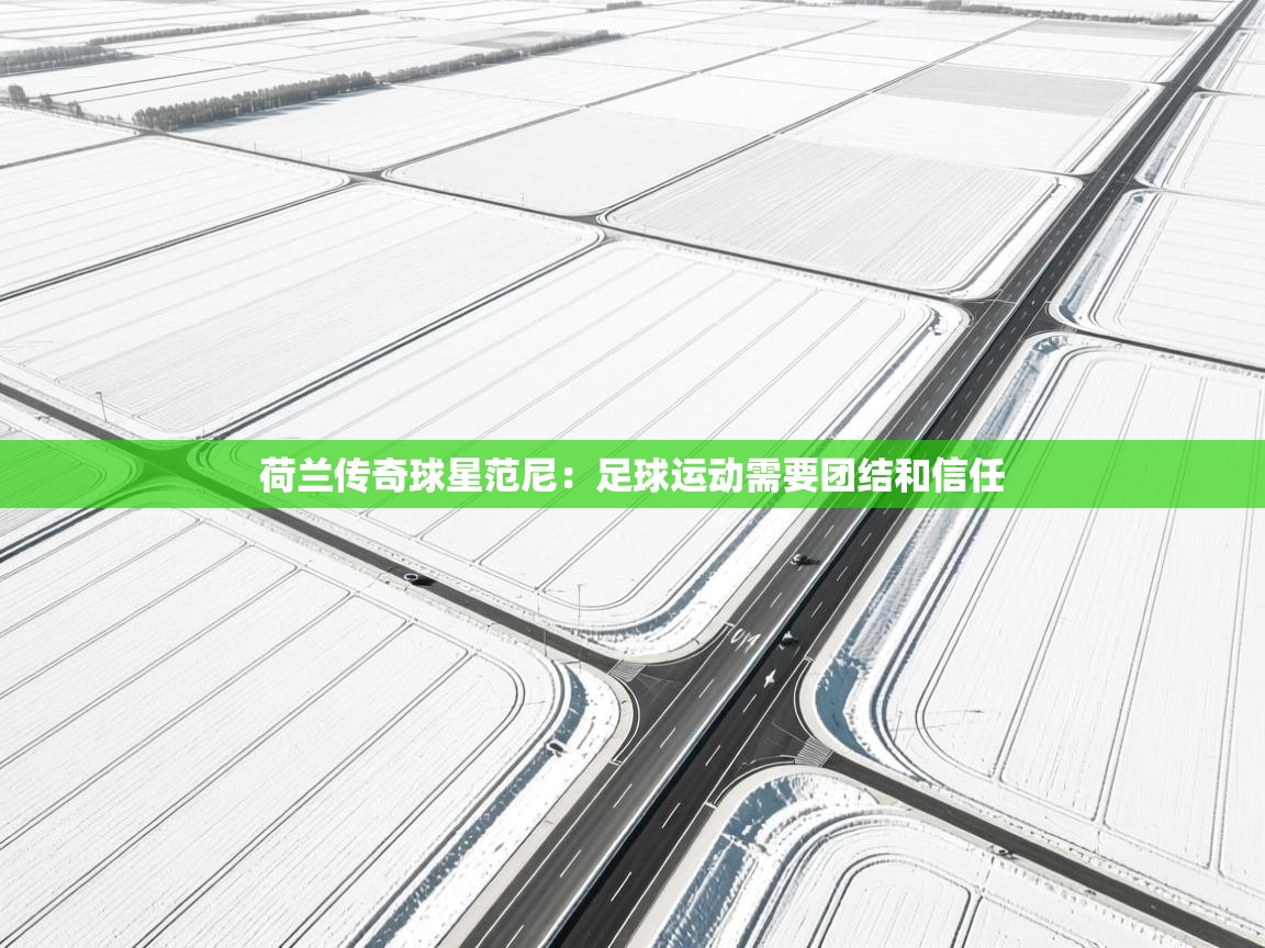 荷兰传奇球星范尼：足球运动需要团结和信任  第1张