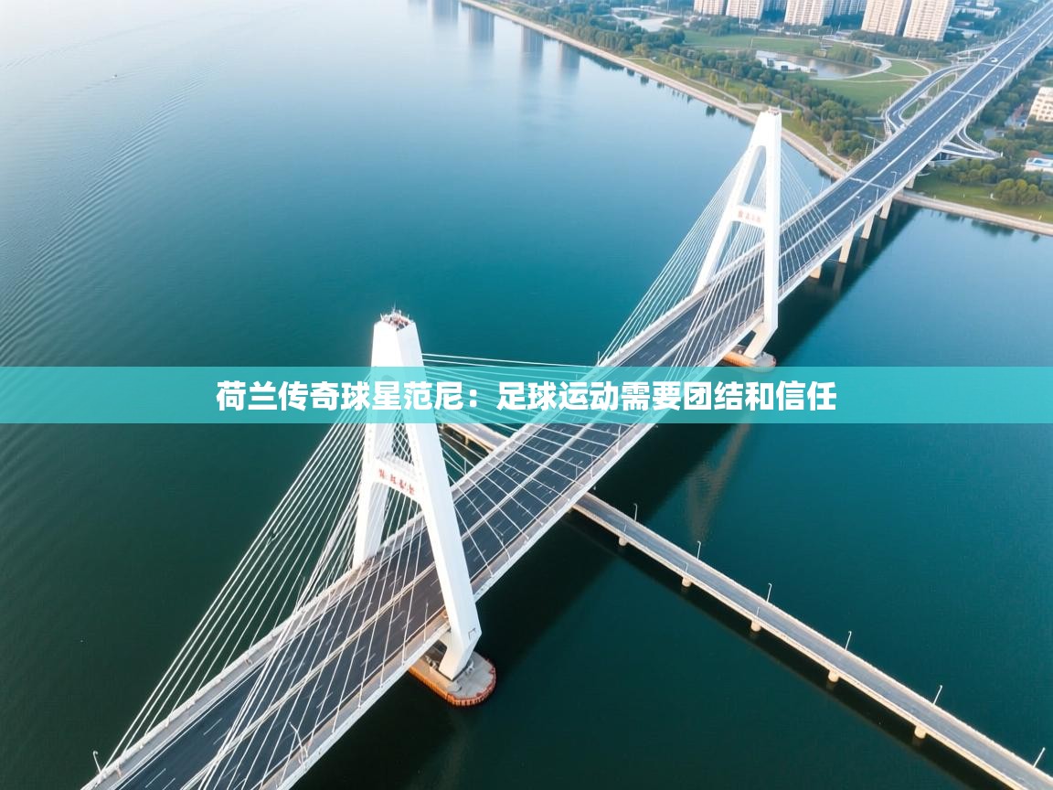 荷兰传奇球星范尼：足球运动需要团结和信任  第2张