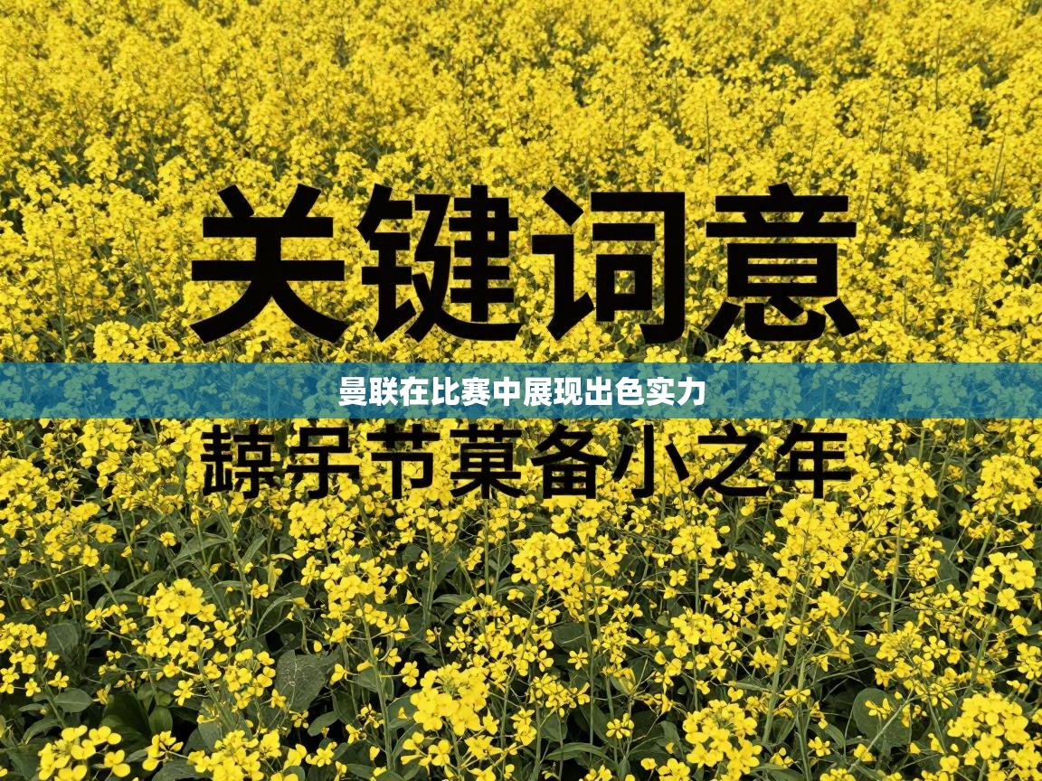 曼联在比赛中展现出色实力  第1张